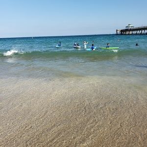 Meet your Posher, Steven